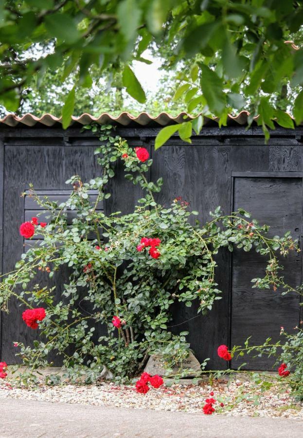 B&B Ruurlo Belle Rose المظهر الخارجي الصورة